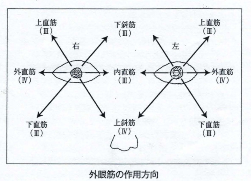 画像の説明