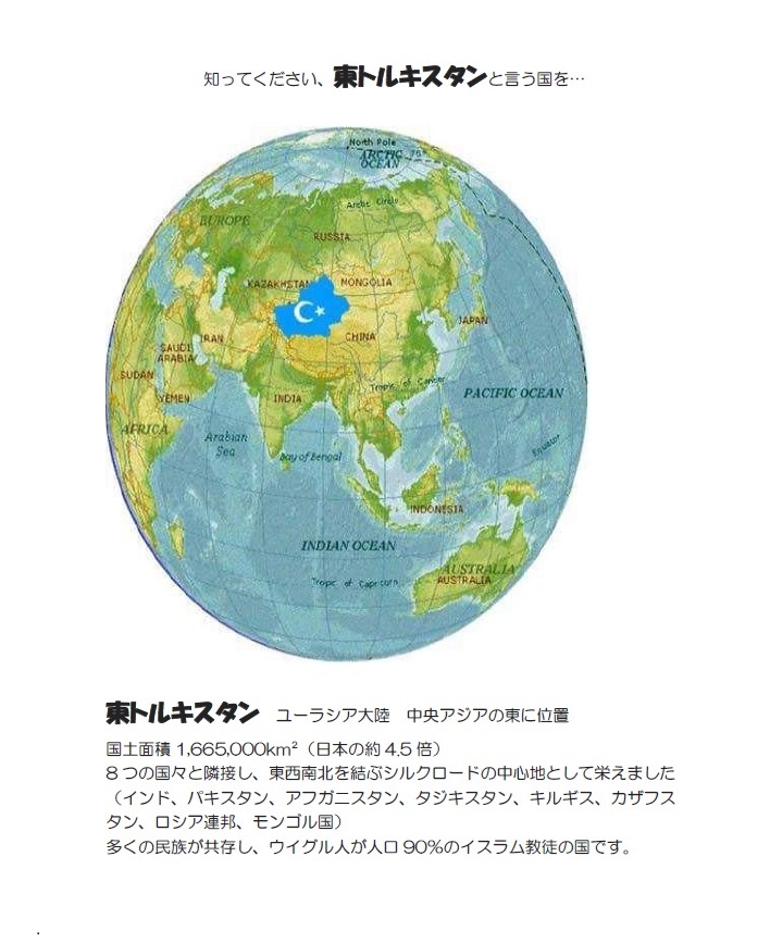 画像の説明