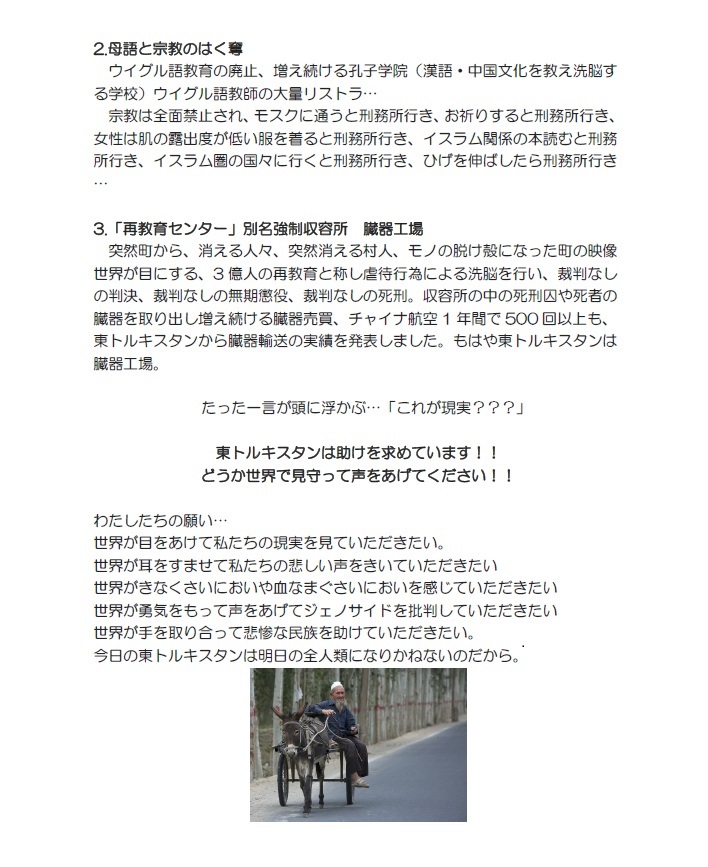 画像の説明