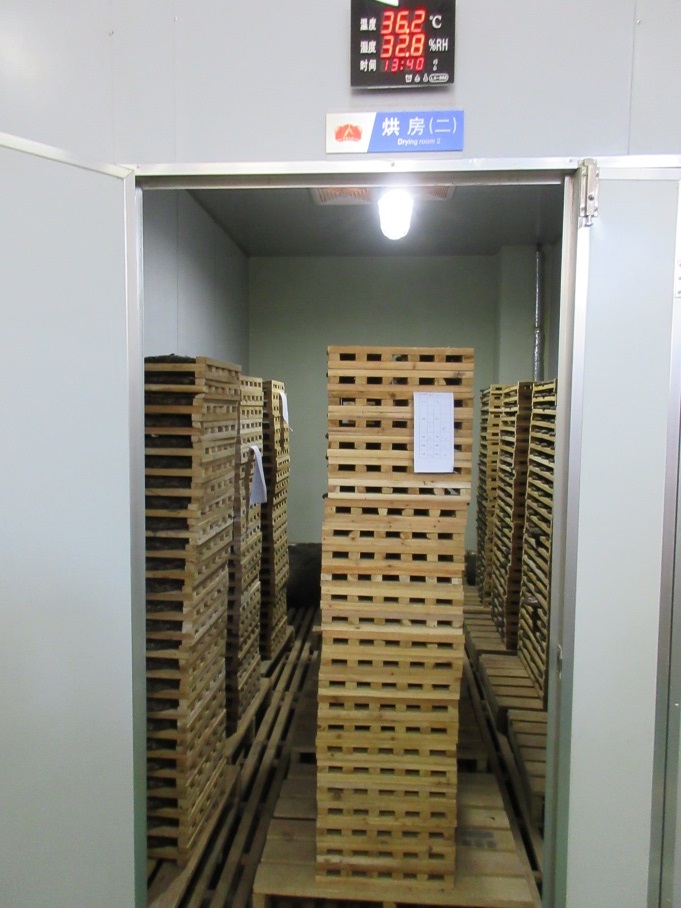 画像の説明 画像の説明