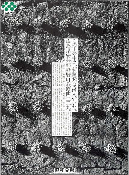 画像の説明