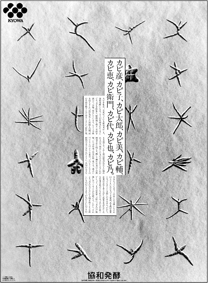 画像の説明