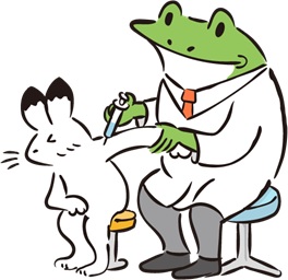 画像の説明
