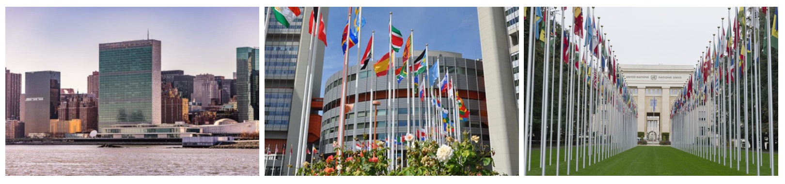 画像の説明 画像の説明